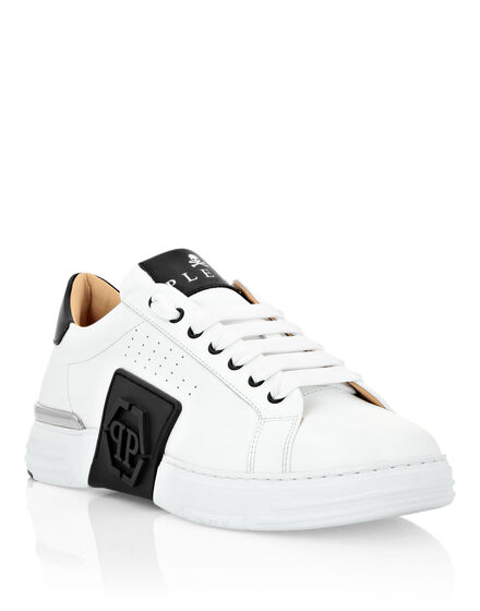 Sneakers  Philipp Plein