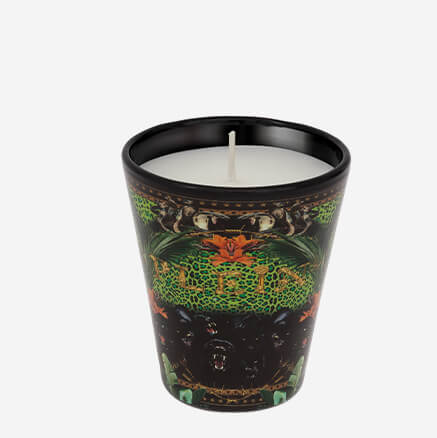 candle-jungle